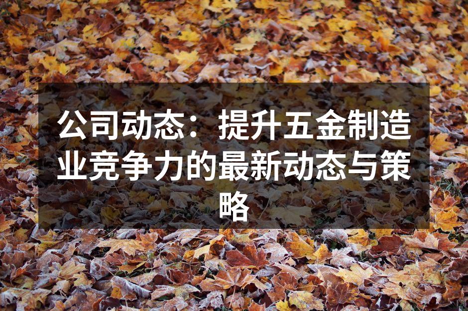 公司动态：提升五金制造业竞争力的最新动态与策略